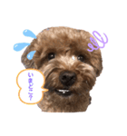もふもふのお友達ペコ（個別スタンプ：15）