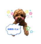 もふもふのお友達ペコ（個別スタンプ：16）