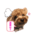 もふもふのお友達ペコ（個別スタンプ：19）