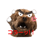 もふもふのお友達ペコ（個別スタンプ：21）