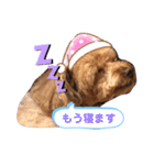 もふもふのお友達ペコ（個別スタンプ：23）