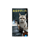 チョチ5（個別スタンプ：4）