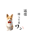コーギー犬のゼン。（個別スタンプ：15）