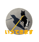 黒豆柴の姫ちゃんスタンプ(*´ч`*)（個別スタンプ：9）