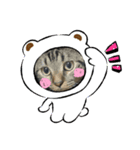 プレジ（個別スタンプ：8）