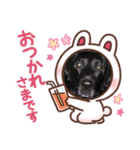 ラブちゃんvelo（個別スタンプ：13）