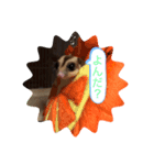 モモンガ こじろう（個別スタンプ：6）