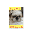 おぉ＆うぅ応援団（個別スタンプ：1）