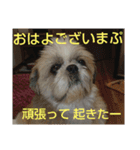 おぉ＆うぅ応援団（個別スタンプ：2）