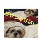おぉ＆うぅ応援団（個別スタンプ：3）