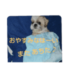 おぉ＆うぅ応援団（個別スタンプ：4）