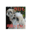 おぉ＆うぅ応援団（個別スタンプ：5）