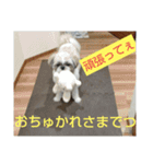 おぉ＆うぅ応援団（個別スタンプ：6）