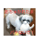 おぉ＆うぅ応援団（個別スタンプ：7）
