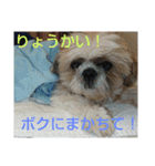 おぉ＆うぅ応援団（個別スタンプ：8）