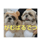 おぉ＆うぅ応援団（個別スタンプ：9）