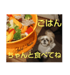 おぉ＆うぅ応援団（個別スタンプ：10）