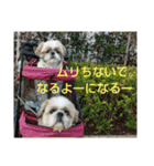 おぉ＆うぅ応援団（個別スタンプ：11）