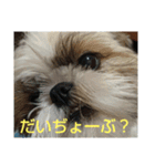 おぉ＆うぅ応援団（個別スタンプ：12）