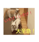 おぉ＆うぅ応援団（個別スタンプ：13）
