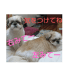 おぉ＆うぅ応援団（個別スタンプ：14）