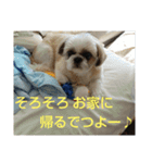 おぉ＆うぅ応援団（個別スタンプ：15）