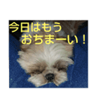 おぉ＆うぅ応援団（個別スタンプ：16）