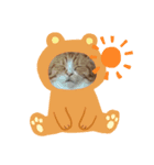 猫様のルーティン（個別スタンプ：7）