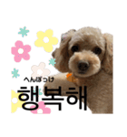韓国語のティンク（個別スタンプ：20）