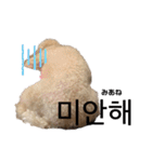 韓国語のティンク（個別スタンプ：26）
