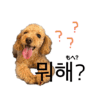 韓国語のティンク（個別スタンプ：28）
