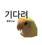 韓国語のティンク（個別スタンプ：32）