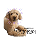 韓国語のティンク（個別スタンプ：38）
