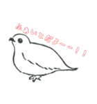 野鳥はんこスタンプ（個別スタンプ：9）