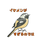 野鳥はんこスタンプ（個別スタンプ：23）