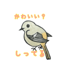 野鳥はんこスタンプ（個別スタンプ：24）