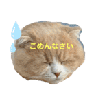 ミラたんスコスタンプd（個別スタンプ：3）