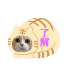 ミラたんスコスタンプd（個別スタンプ：4）