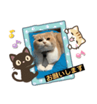 ミラたんスコスタンプd（個別スタンプ：6）