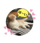 ミラたんスコスタンプd（個別スタンプ：7）