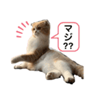 ミラたんスコスタンプd（個別スタンプ：9）