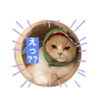 ミラたんスコスタンプd（個別スタンプ：10）