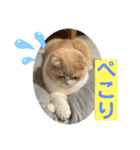 ミラたんスコスタンプd（個別スタンプ：12）