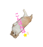 ミラたんスコスタンプd（個別スタンプ：14）