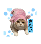 ミラたんスコスタンプd（個別スタンプ：17）