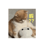 ミラたんスコスタンプd（個別スタンプ：18）