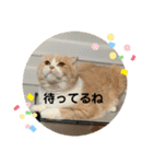 ミラたんスコスタンプd（個別スタンプ：27）