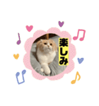 ミラたんスコスタンプd（個別スタンプ：28）