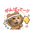 ミラたんスコスタンプd（個別スタンプ：31）