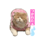 ミラたんスコスタンプd（個別スタンプ：39）